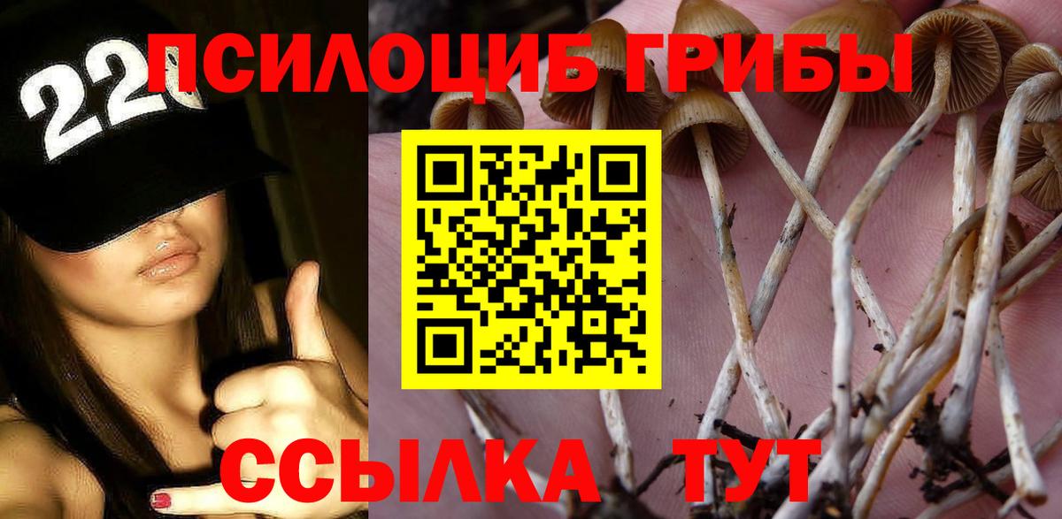 Галлюциногенные грибы Cubensis Мценск