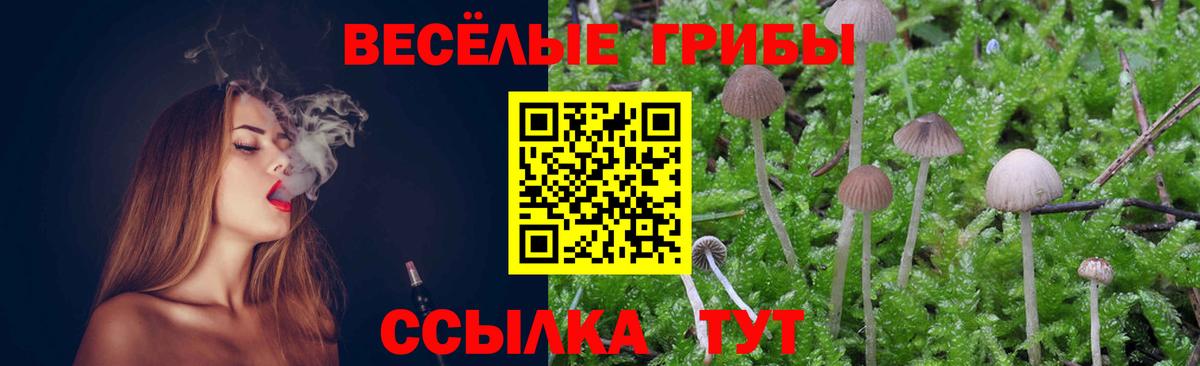 Псилоцибиновые грибы Magic Shrooms  Вход с VPN  Мценск 